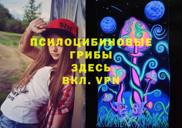 соль курить ск Богородицк