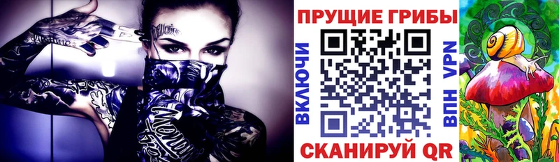 Псилоцибиновые грибы Psilocybine cubensis shop формула kraken сайт Новое Девяткино наркошоп